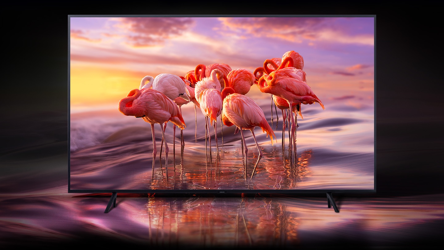 vn-feature-qled-begins-at-reality-150397311.jpg vn-feature-qled-begins-at-reality-150397311.jpg