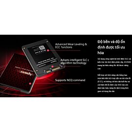 SSD 256GB 2.5-inch AS350X Apacer: Sata III; 560/540 MB/s; TBW: 180TB; 3Y (AP256GAS350XR-1)