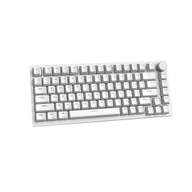 Bàn phím cơ Gaming có dây Newmen GM326 - Màu trắng, Blue Switch, USB, 75% - 82 phím, Rainbow Led, Hotswap 3pin